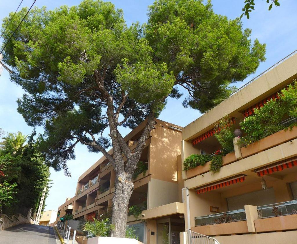Studio Bandol Centre 2 Etoiles Ideal Emplacement Exterior foto