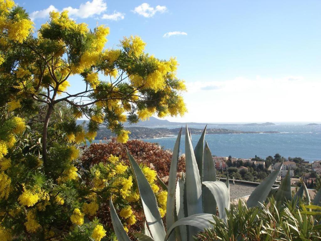 Studio Bandol Centre 2 Etoiles Ideal Emplacement Exterior foto